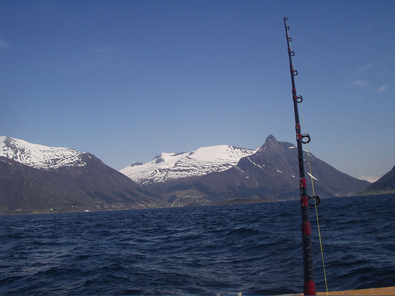 Fischerei, Angeln in Norwegen, Berge, Angel, Angelrute